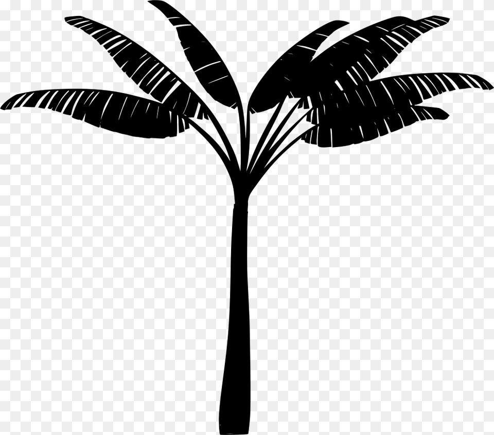 Gt Tree Jungle Trunk Palm, Gray Free Png