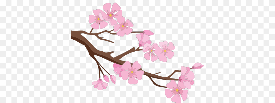 Gtsport Decal Search Engine Girly, Flower, Plant, Cherry Blossom Free Transparent Png