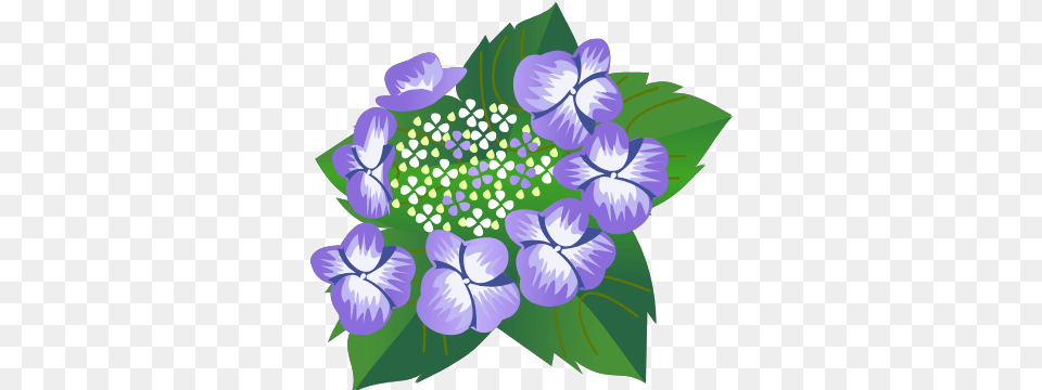 Gtsport Decal Search Engine Hydrangea, Anemone, Art, Floral Design, Flower Free Png Download