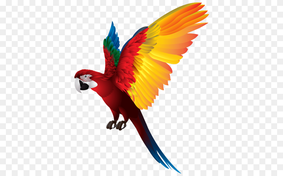Guacamayas Parrot Birds, Animal, Bird, Macaw Free Png Download