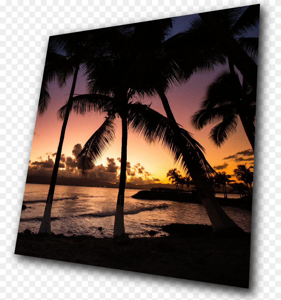 Guadeloupe Plage St Anne Couch De Soleil, Nature, Sunset, Summer, Sky Free Transparent Png