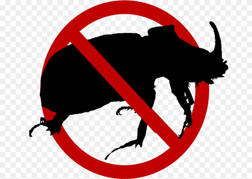 Guam Coconut Rhinoceros Beetle, Sign, Symbol, Road Sign Png