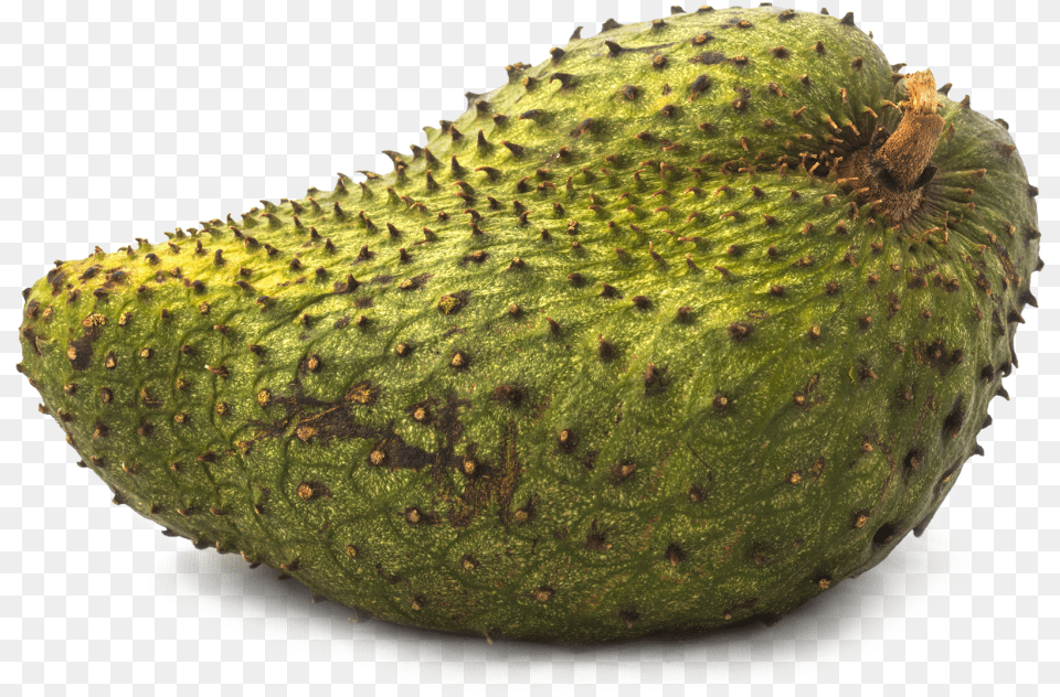 Guanabana Fruit, Food, Plant, Produce, Avocado Free Transparent Png