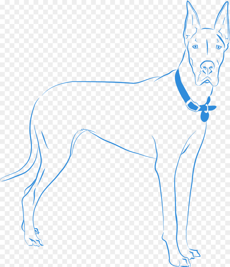 Guard Dog Png