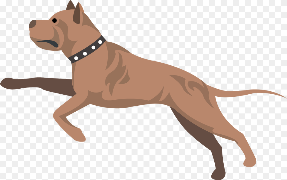 Guard Dog, Accessories, Strap, Animal, Mammal Free Png Download