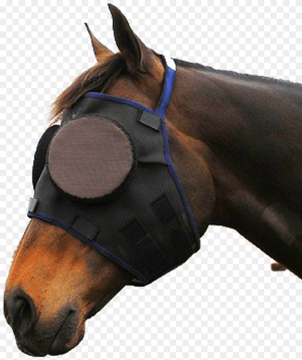 Guardian Paddock Mask Horse With Eye Cover, Halter, Snout, Animal, Mammal Free Transparent Png