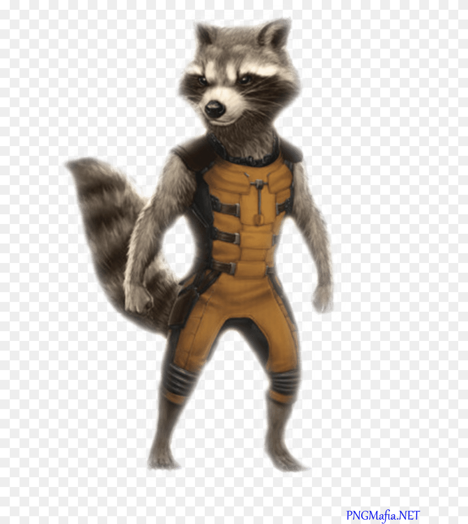 Guardians Of The Galaxy Marvel Guardians Of The Galaxy Rocket Raccoon, Animal, Cat, Mammal, Pet Free Png