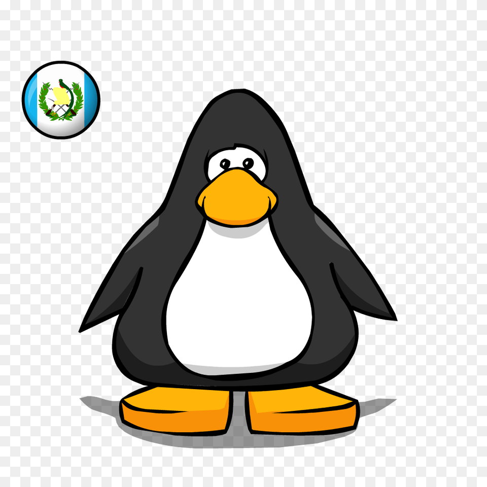 Guatemala Flag Club Penguin Rewritten Wiki Fandom Powered, Animal, Bird Free Png Download