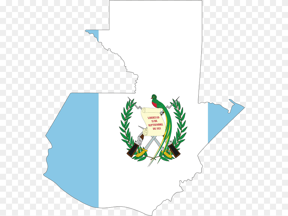 Guatemala Map Flag Quetzal Bird Guatemala Flag, Graphics, Art, Plant, Vegetation Free Png