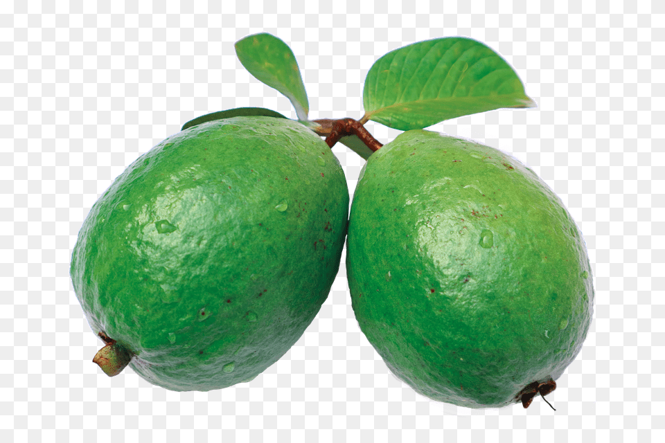 Guava, Fruit, Citrus Fruit, Produce, Plant Free Transparent Png