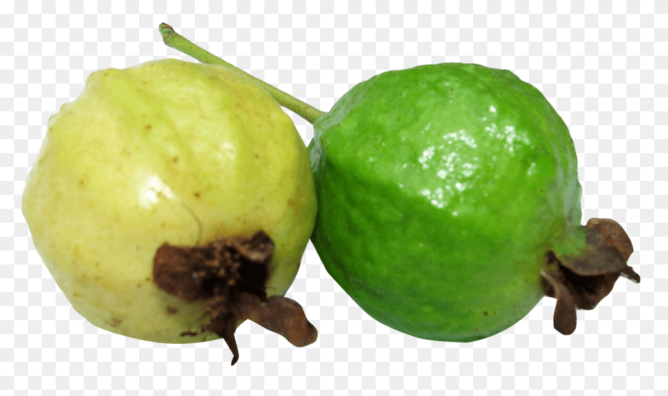 Guava, Food, Fruit, Plant, Produce Png