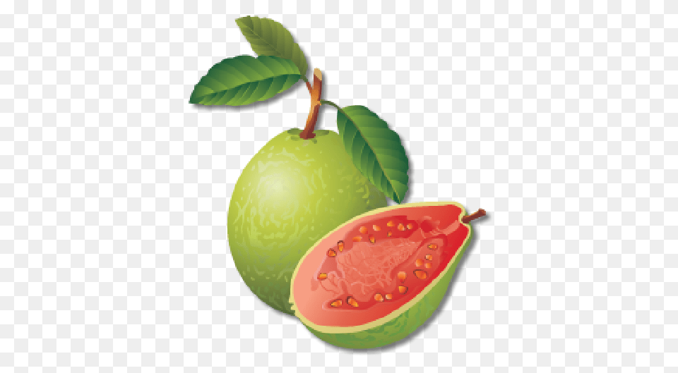 Guava, Food, Fruit, Plant, Produce Free Transparent Png