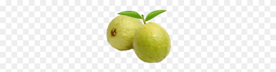 Guava, Citrus Fruit, Food, Fruit, Plant Free Png