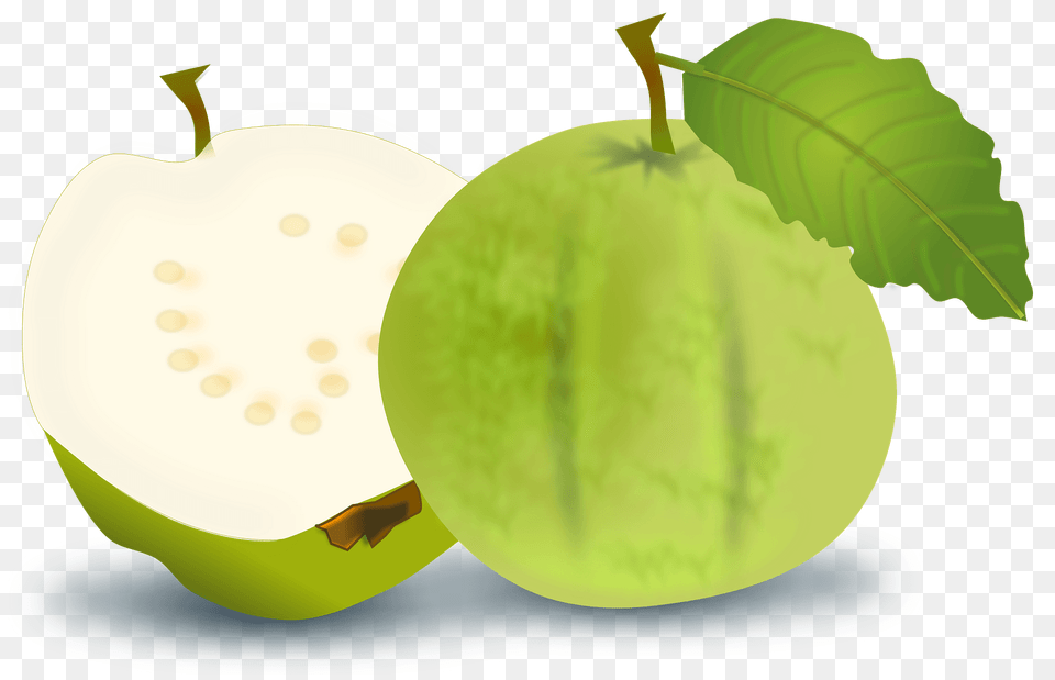 Guava Clipart, Food, Fruit, Plant, Produce Free Transparent Png