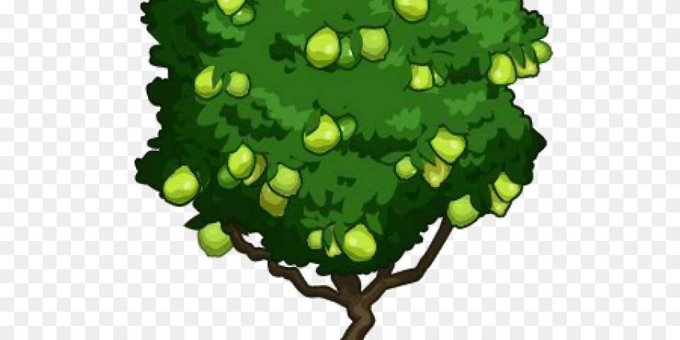 Guava Clipart, Green, Plant, Tree, Ball Free Png