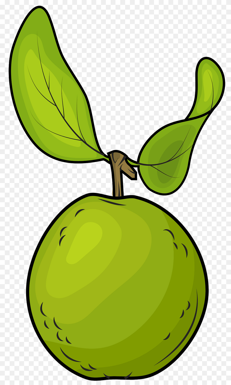 Guava Clipart, Food, Fruit, Plant, Produce Free Transparent Png