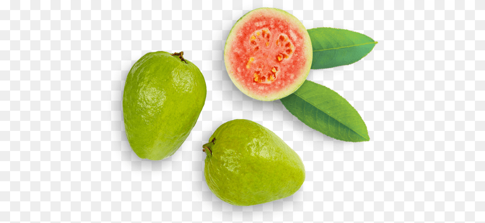 Guava Common Guava, Food, Fruit, Plant, Produce Png Image