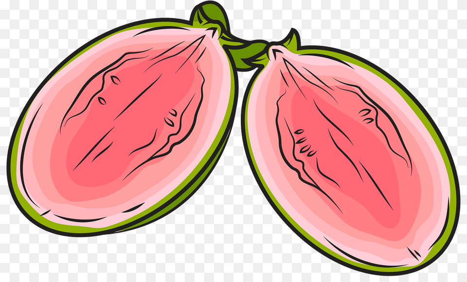Guava Cut In Half Clipart, Food, Fruit, Plant, Produce Free Png
