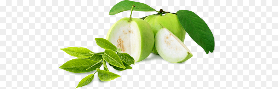 Guava Download Guava, Weapon, Blade, Cooking, Sliced Free Png