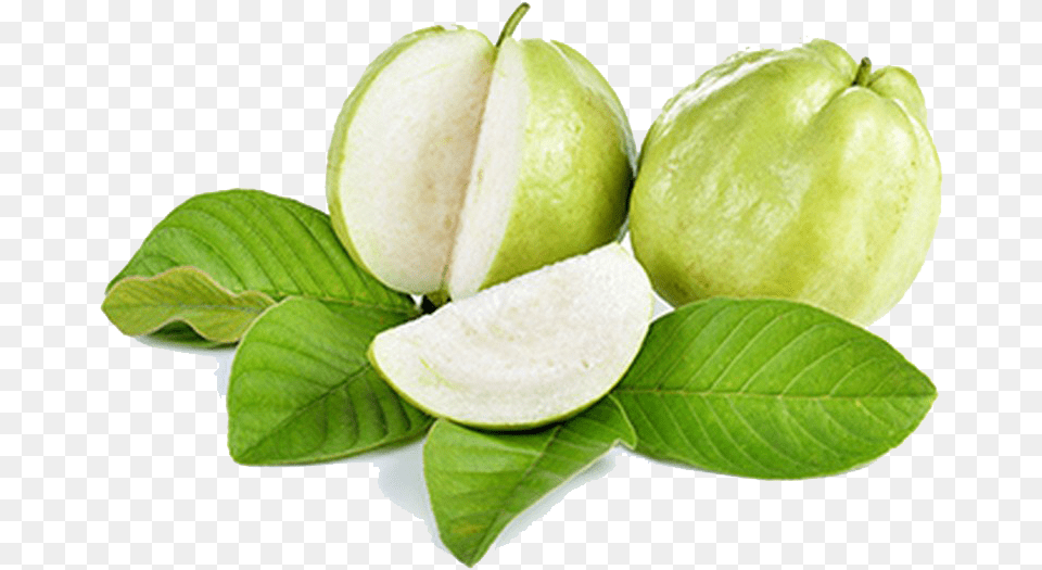 Guava Green Guava, Leaf, Plant, Tree, Annonaceae Free Png Download