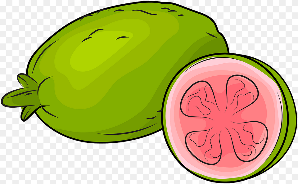 Guavas Clipart, Food, Fruit, Plant, Produce Free Png