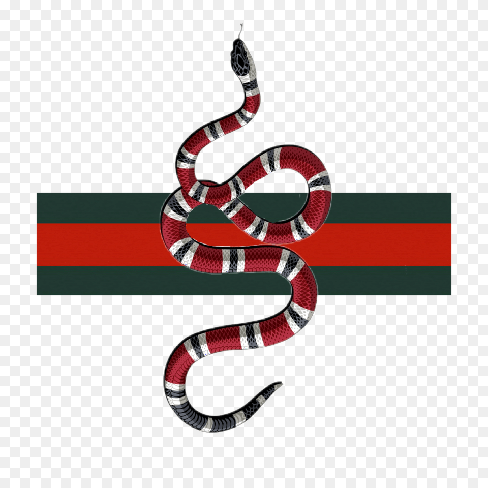 Gucci, Animal, King Snake, Reptile, Snake Png