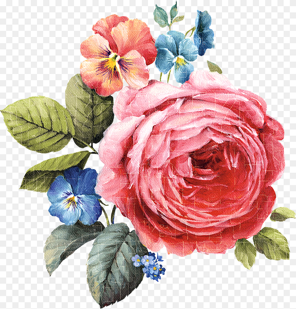 Gucci Flowers Clipart Painted, Flower, Plant, Rose, Petal Png Image