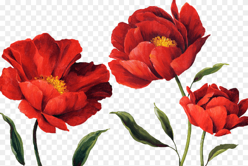Gucci Flowers Watercolor Red Flowers, Flower, Plant, Petal, Rose Png