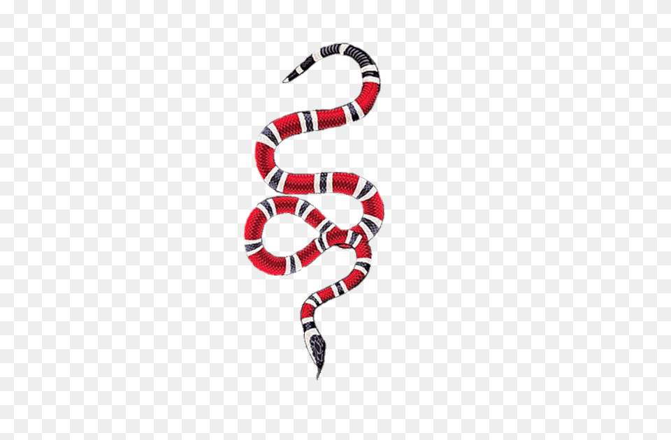 Gucci Guccigang Guccisnake Snake Gucciprince, Animal, Reptile, King Snake Png Image