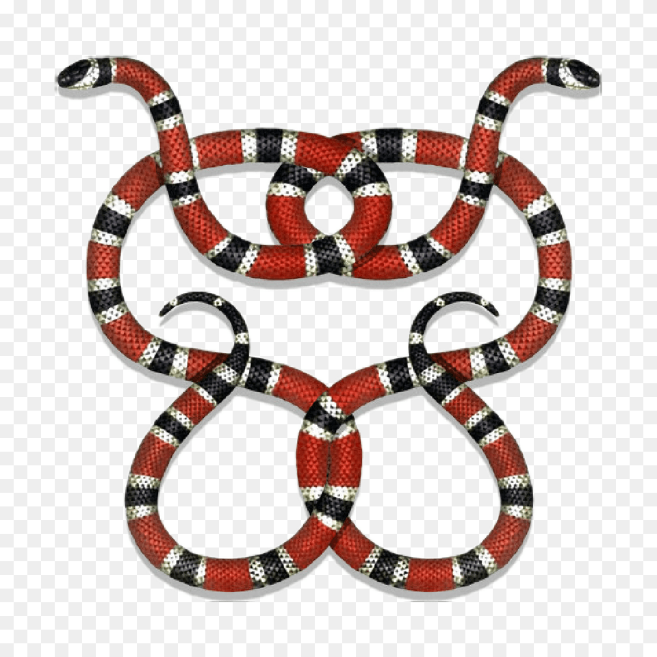 Gucci Guccigang Snakes Guccilogo Logo Stickerpng, Animal, King Snake, Reptile, Snake Free Transparent Png