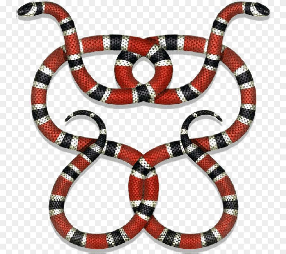 Gucci Guccigang Snakes Guccilogo Logo Stickerpng Transparent Gucci Snake, Animal, King Snake, Reptile Free Png Download