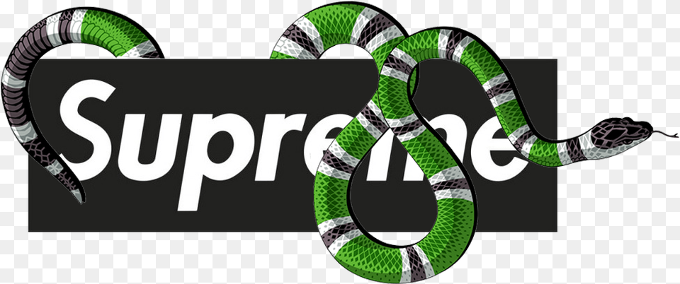 Gucci Logo Supreme Gucci Logo, Animal, Reptile, Snake, King Snake Png Image
