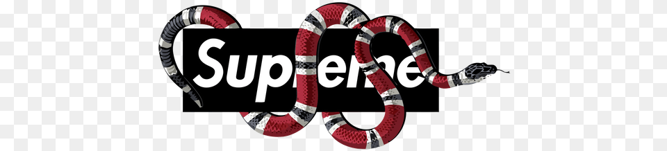 Gucci Logo With Snake, Animal, King Snake, Reptile Free Png