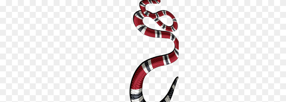 Gucci Snake Image, Animal, King Snake, Reptile Free Transparent Png