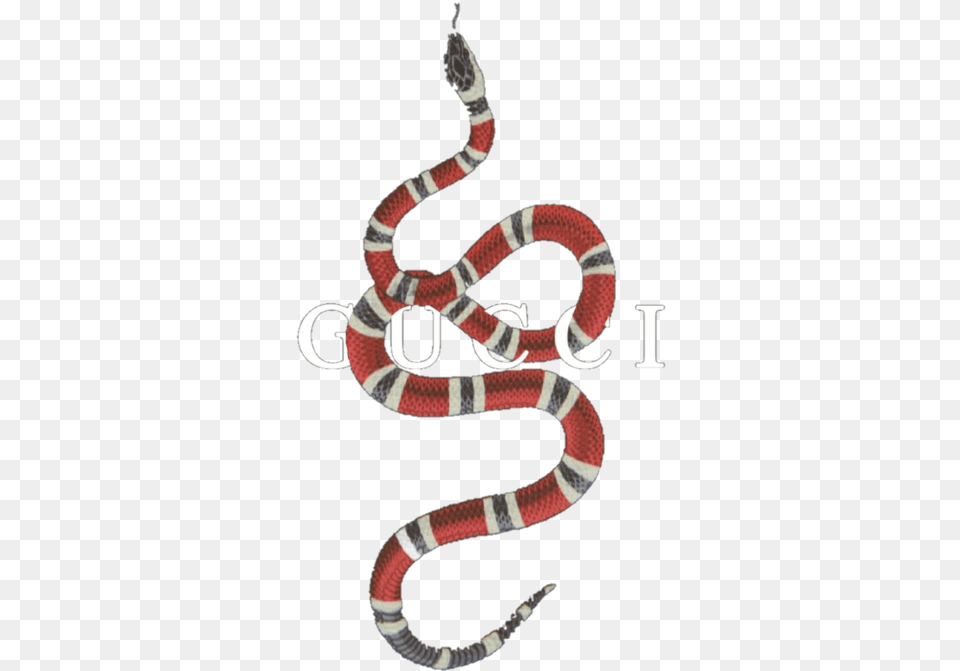 Gucci Snake Logo, Animal, King Snake, Reptile Png Image