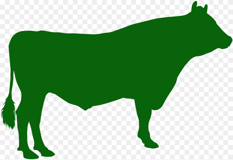 Guernsey Bull Silhouette, Animal, Mammal, Cattle, Livestock Free Transparent Png