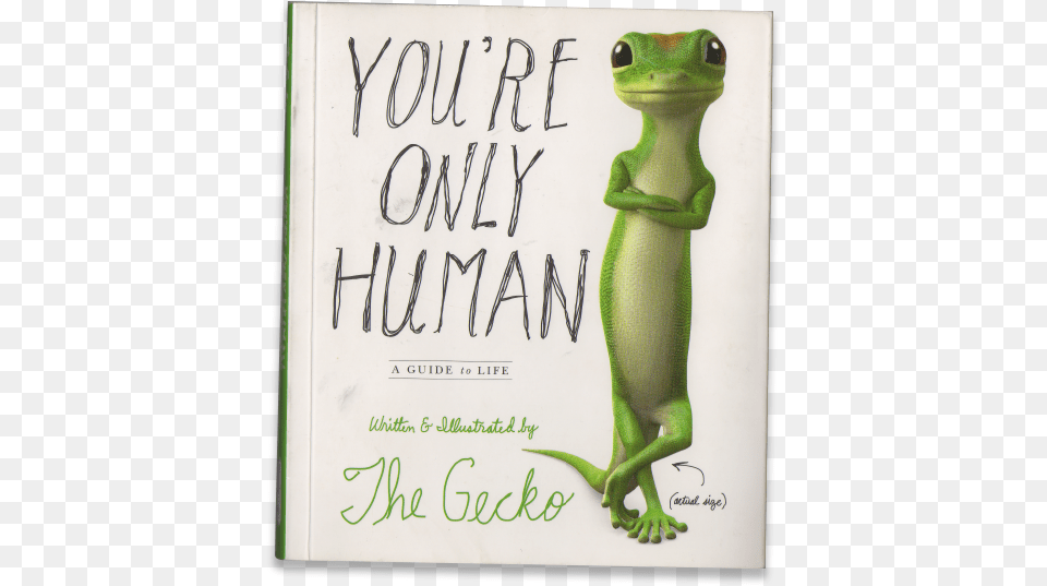 Guerrilla Marketing Graces Portfolio Frog, Animal, Gecko, Lizard, Reptile Free Png