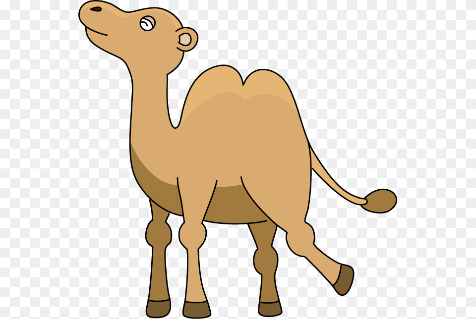 Guess What Day It Is Wednesday Clipart, Animal, Camel, Mammal, Kangaroo Free Png
