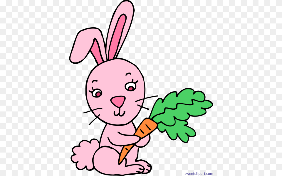 Guest Author, Vegetable, Carrot, Produce, Plant Png