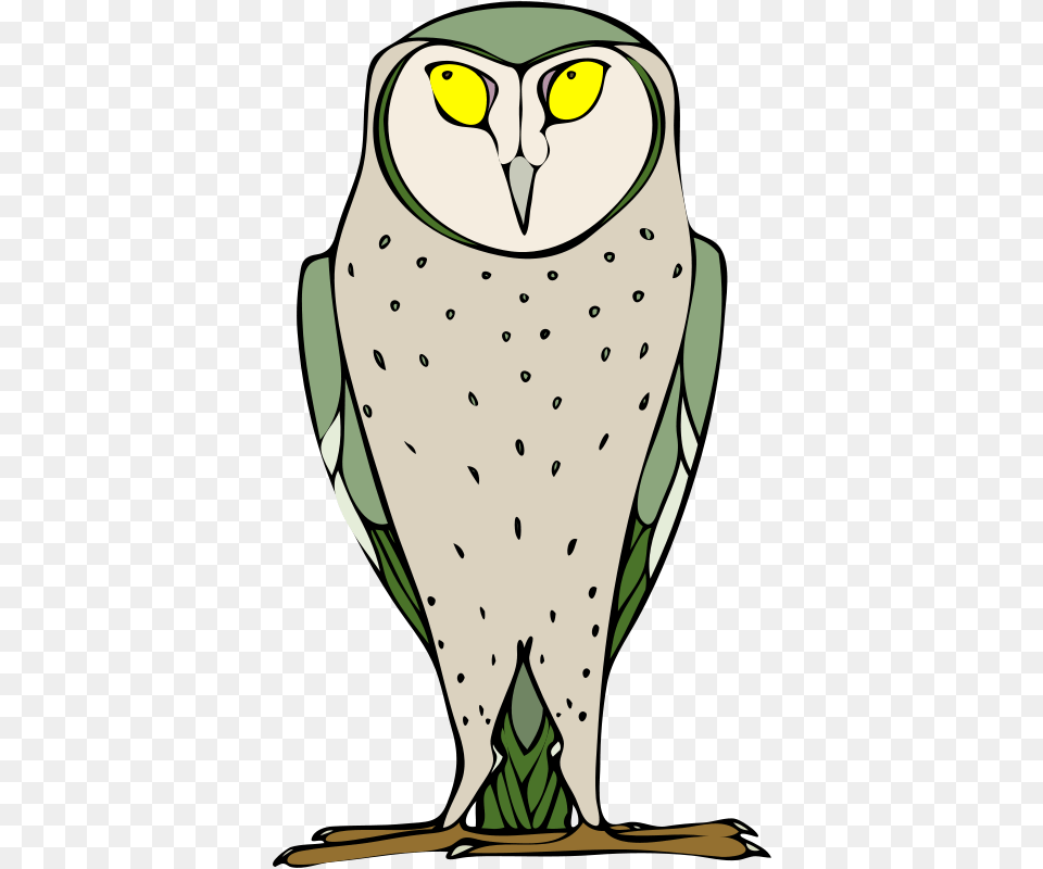 Gufo Civetta Architetto, Animal, Bird, Owl, Adult Free Png