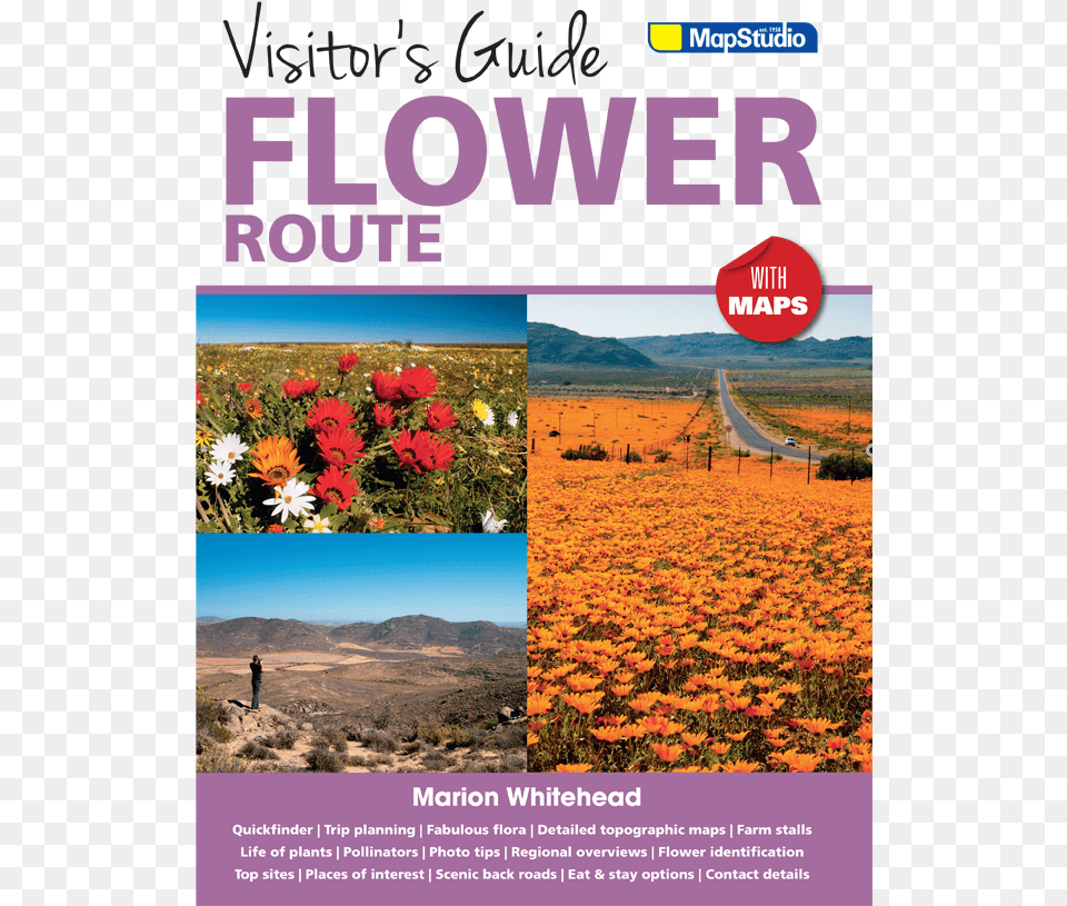 Guide Flower Route Flower Route Western Cape, Advertisement, Poster, Petal, Plant Free Png Download