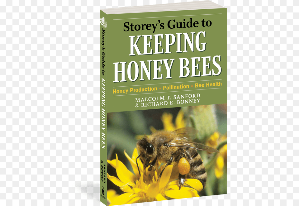Guide To Keeping Honey Bees Pdf, Animal, Bee, Honey Bee, Insect Free Transparent Png