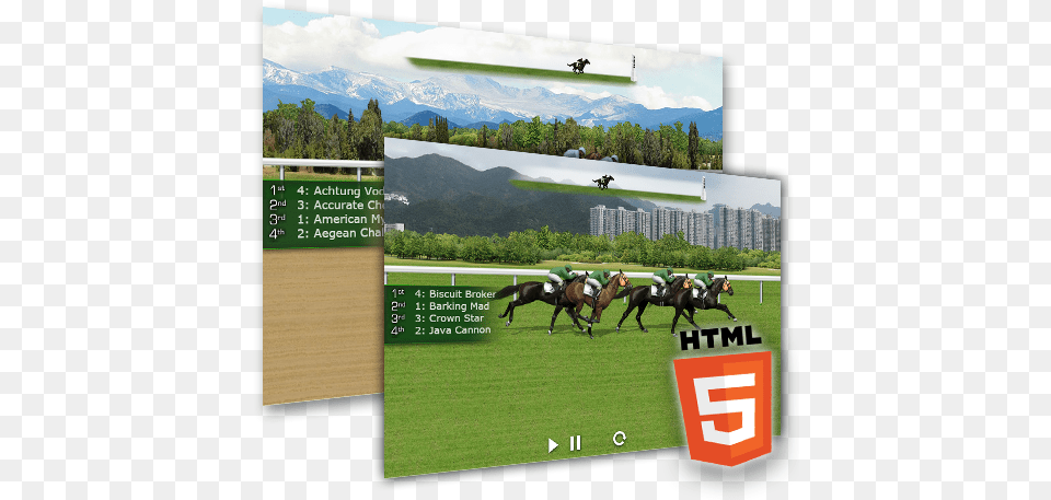 Guide To Online Horse Racing Horse Supplies, Field, People, Person, Animal Png