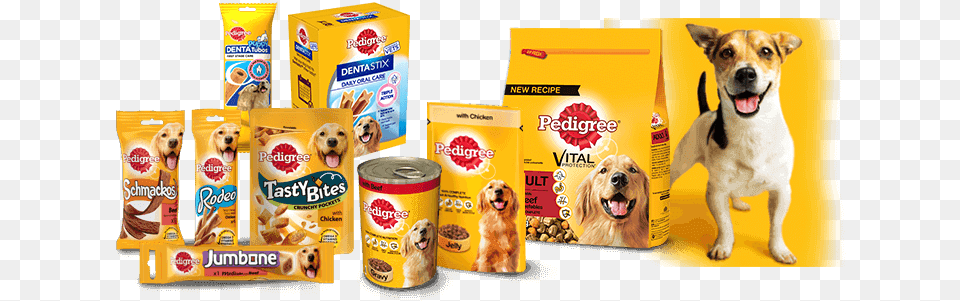 Guide To Petdegree Product, Snack, Food, Dog, Animal Png