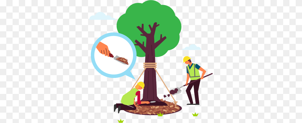 Guide To Planting A Tree, Art, Baby, Person, Advertisement Free Png Download