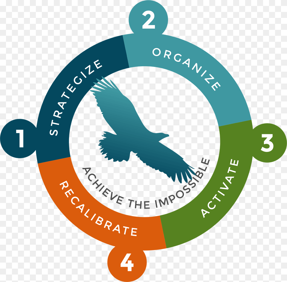 Guided Strategy Deployment Process Graphic Emblem, Animal, Bird, Pigeon Png Image