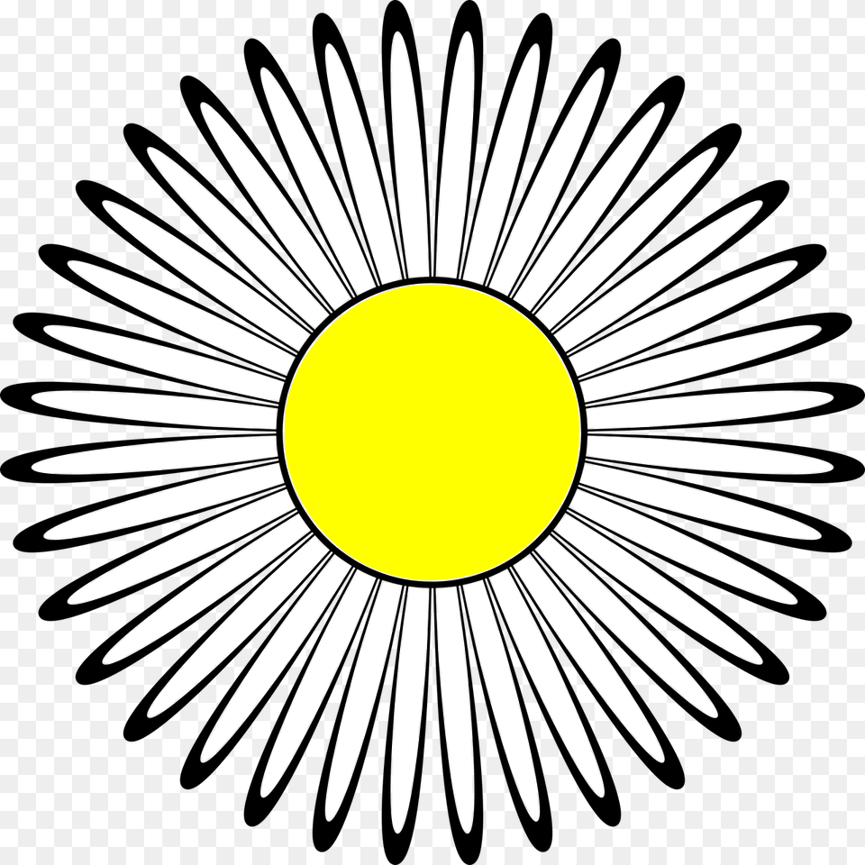 Guilloch Motif, Daisy, Flower, Plant, Blade Free Transparent Png