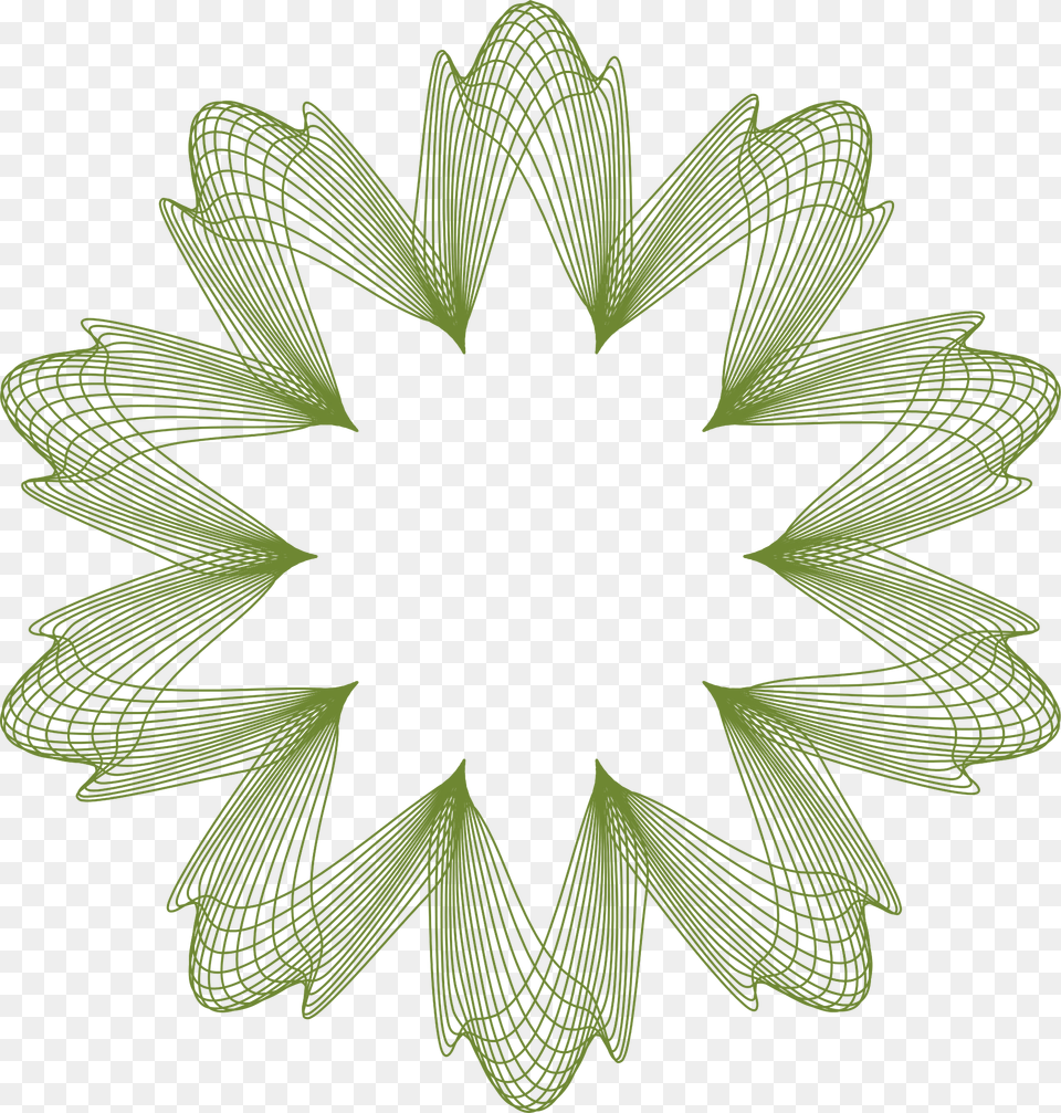 Guilloche Clipart, Green, Leaf, Pattern, Plant Png