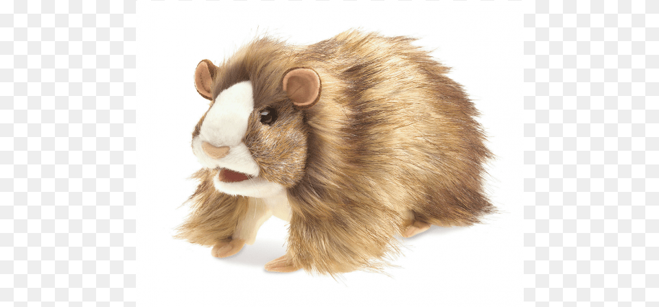 Guinea Pig, Animal, Mammal, Rodent, Bear Free Png Download