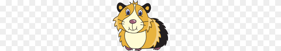 Guinea Pig, Animal, Mammal, Baby, Person Free Transparent Png